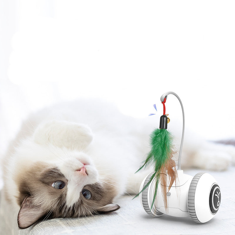 Interactive Cat Toy With Interchangeable Pet Feather Toys