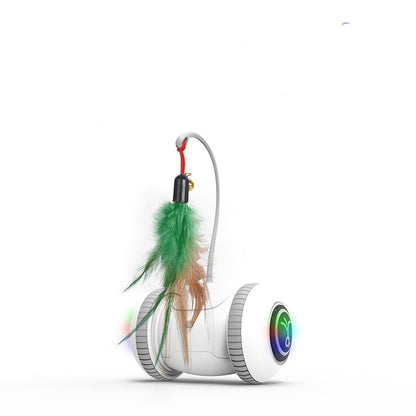 Interactive Cat Toy With Interchangeable Pet Feather Toys