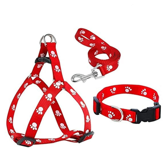 Cat Harness and Leash Set for Cats & Kittens | Adjustable Soft Harness